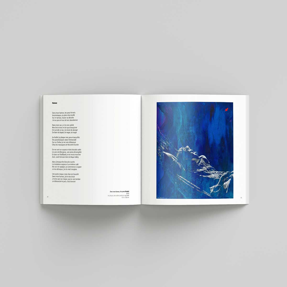 Catalogue d'exposition de l'artiste Jef Aérosol, galerie Mathgoth (Paris)